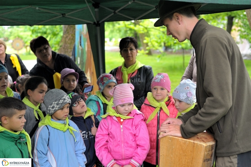 Madarak és Fák Napja 2017 - fotó Szarka Lajos