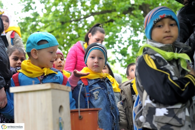 Madarak és Fák Napja 2017 - fotó Szarka Lajos