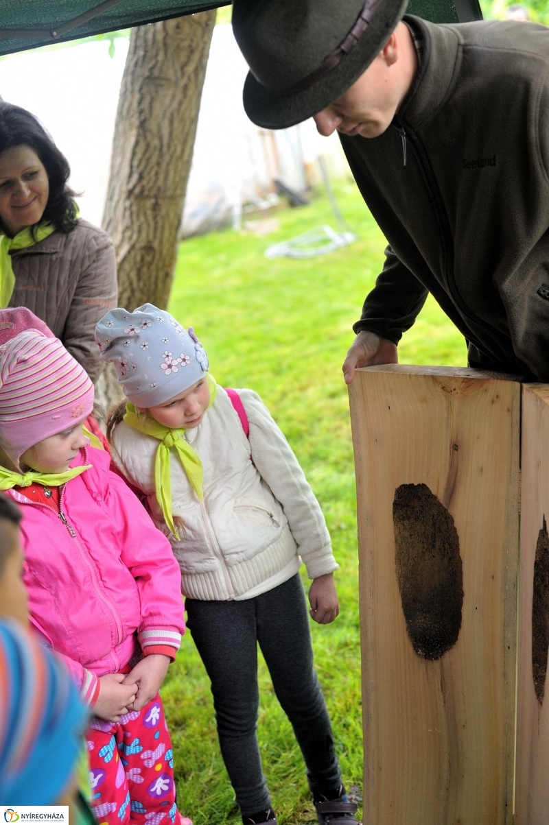 Madarak és Fák Napja 2017 - fotó Szarka Lajos
