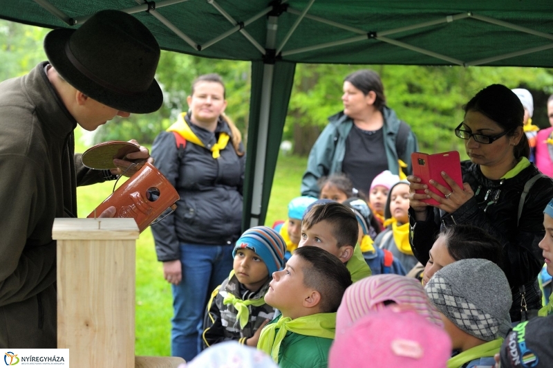 Madarak és Fák Napja 2017 - fotó Szarka Lajos
