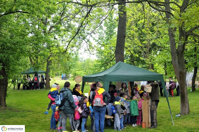 Madarak és Fák Napja 2017 - fotó Szarka Lajos