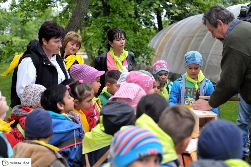 Madarak és Fák Napja 2017 - fotó Szarka Lajos