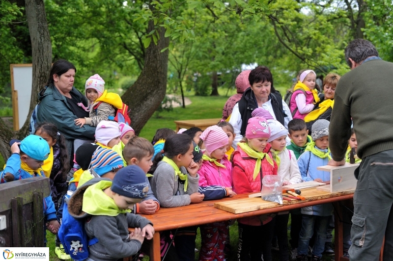 Madarak és Fák Napja 2017 - fotó Szarka Lajos