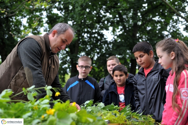 Madarak és Fák Napja 2017 - fotó Szarka Lajos