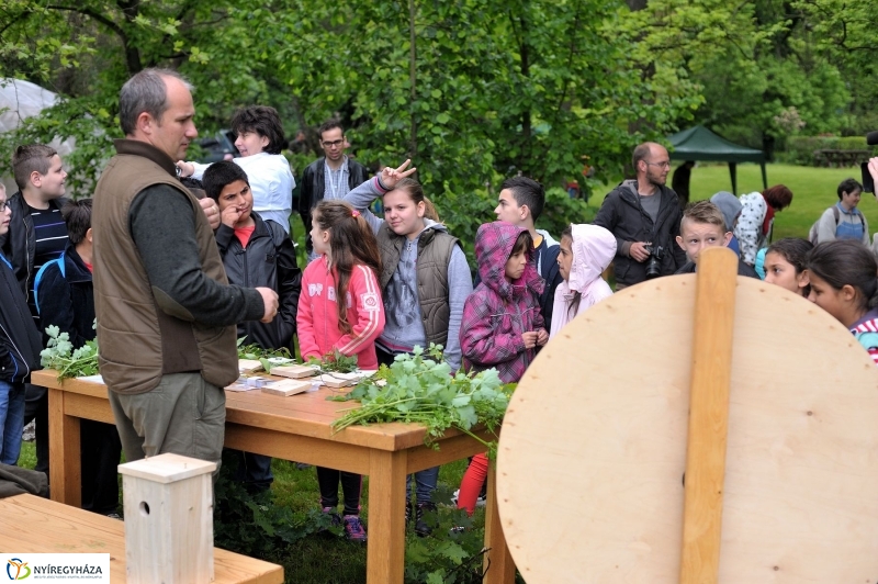 Madarak és Fák Napja 2017 - fotó Szarka Lajos