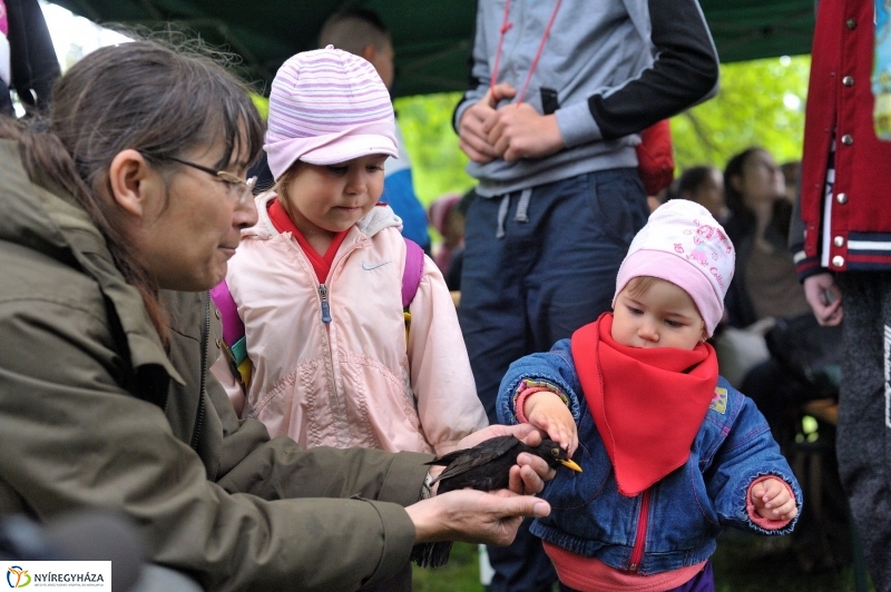 Madarak és Fák Napja 2017 - fotó Szarka Lajos