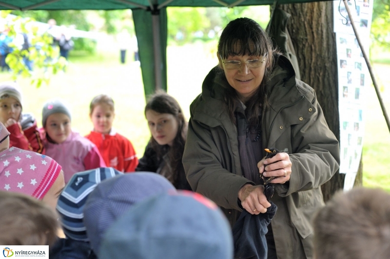 Madarak és Fák Napja 2017 - fotó Szarka Lajos
