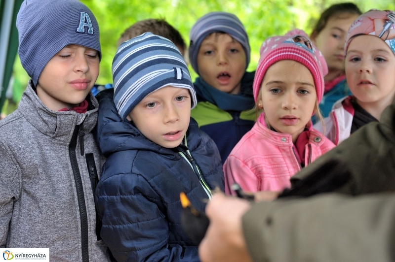 Madarak és Fák Napja 2017 - fotó Szarka Lajos