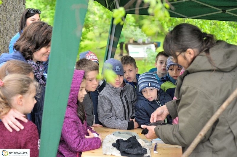 Madarak és Fák Napja 2017 - fotó Szarka Lajos