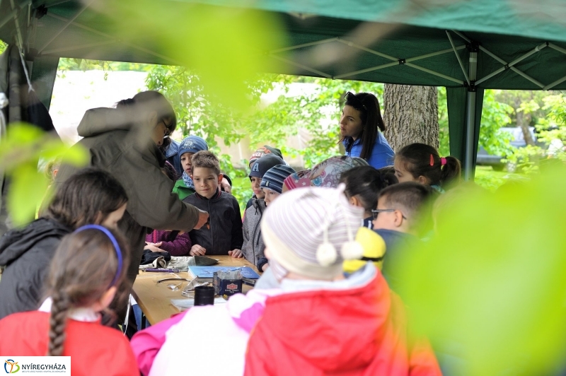 Madarak és Fák Napja 2017 - fotó Szarka Lajos