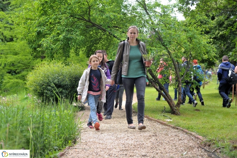 Madarak és Fák Napja 2017 - fotó Szarka Lajos