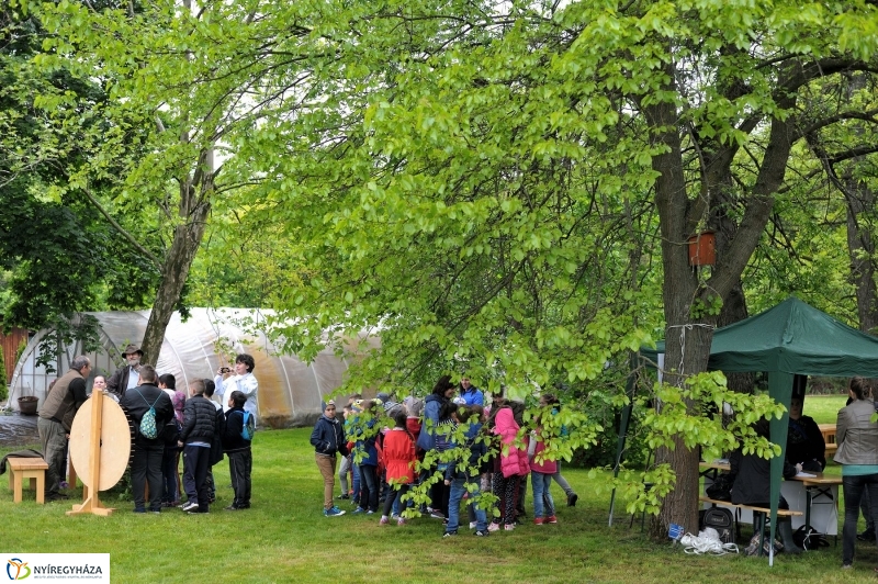 Madarak és Fák Napja 2017 - fotó Szarka Lajos