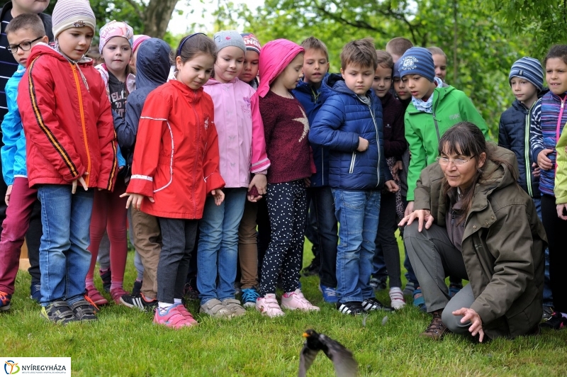 Madarak és Fák Napja 2017 - fotó Szarka Lajos