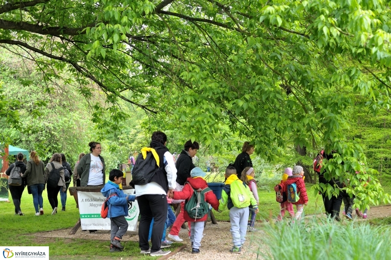 Madarak és Fák Napja 2017 - fotó Szarka Lajos