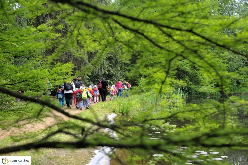 Madarak és Fák Napja 2017 - fotó Szarka Lajos