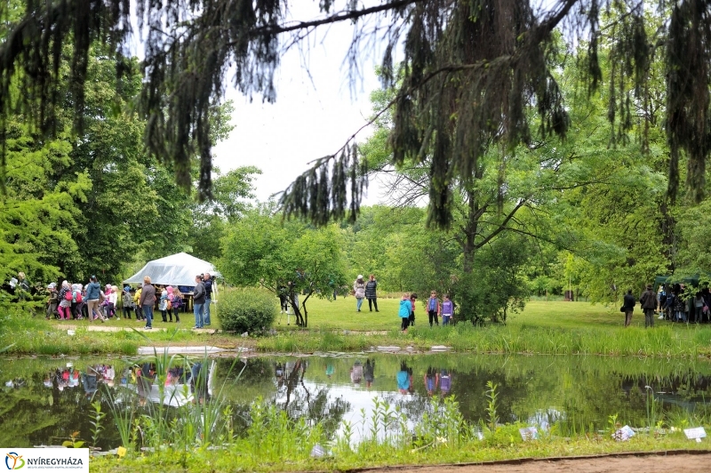 Madarak és Fák Napja 2017 - fotó Szarka Lajos