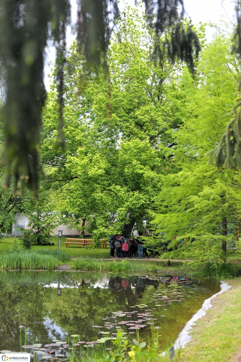 Madarak és Fák Napja 2017 - fotó Szarka Lajos