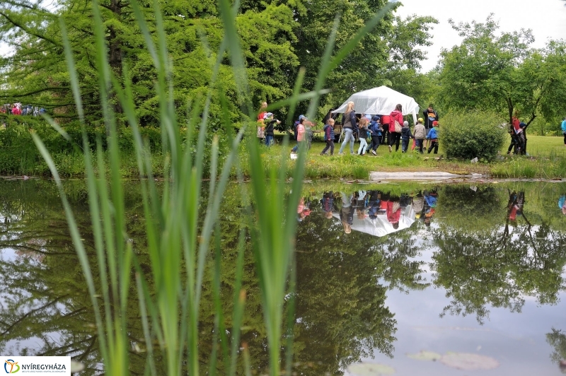 Madarak és Fák Napja 2017 - fotó Szarka Lajos