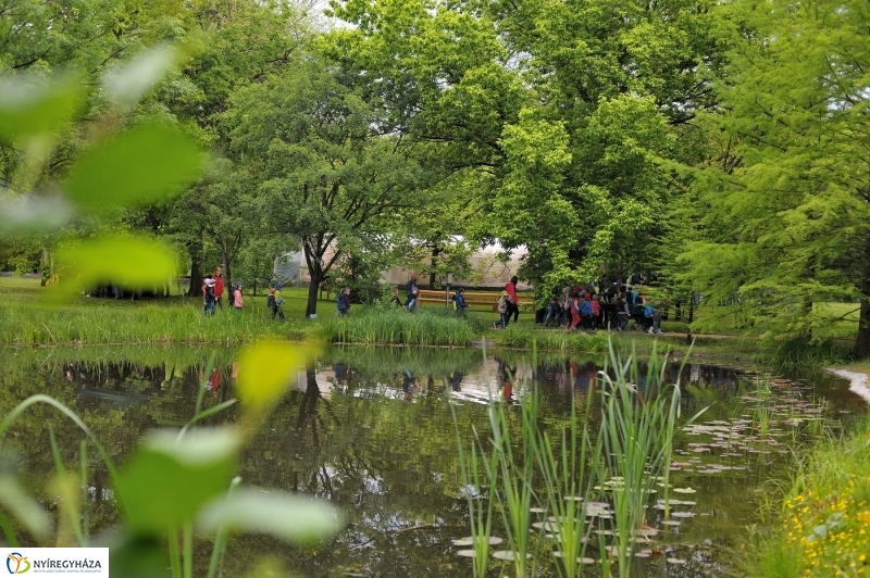 Madarak és Fák Napja 2017 - fotó Szarka Lajos