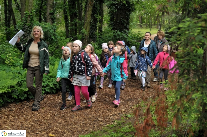 Madarak és Fák Napja 2017 - fotó Szarka Lajos
