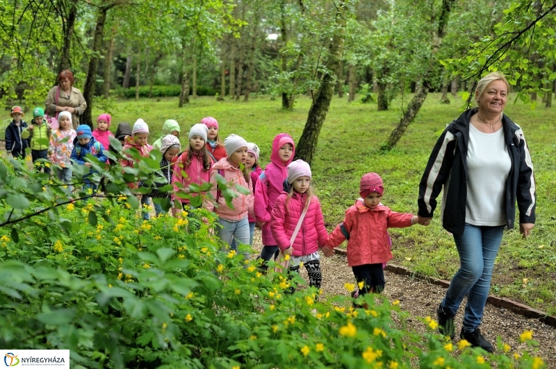 Madarak és Fák Napja 2017 - fotó Szarka Lajos