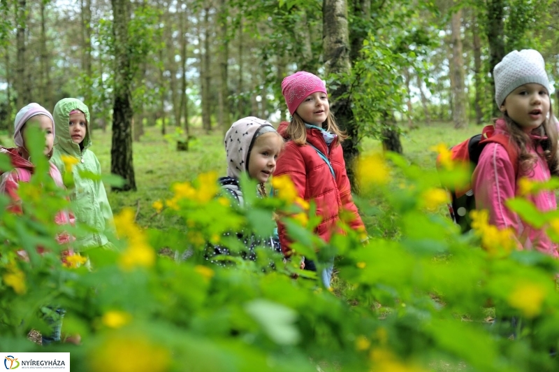 Madarak és Fák Napja 2017 - fotó Szarka Lajos