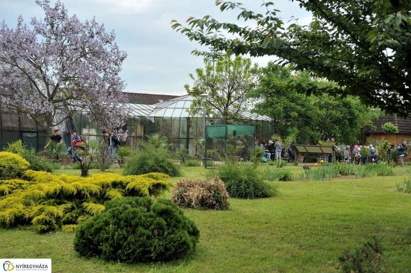 Madarak és Fák Napja 2017 - fotó Szarka Lajos