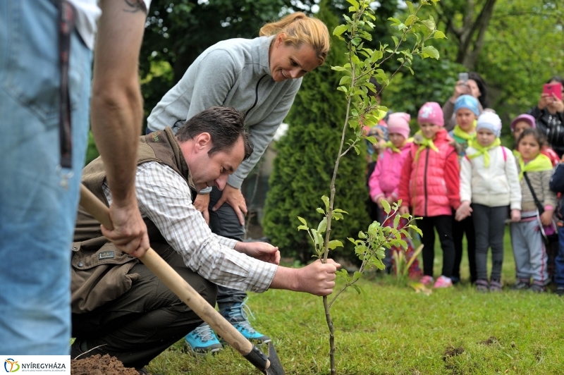 Madarak és Fák Napja 2017 - fotó Szarka Lajos