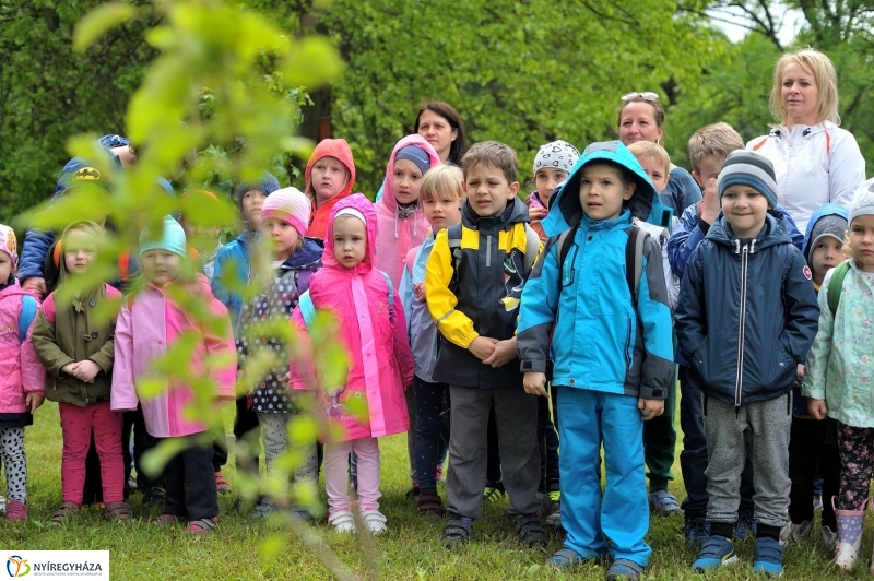 Madarak és Fák Napja 2017 - fotó Szarka Lajos