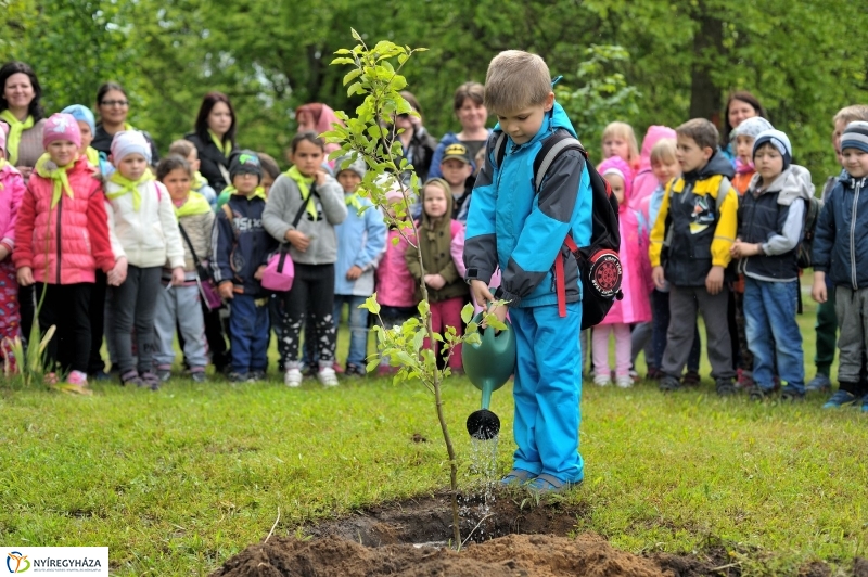 Madarak és Fák Napja 2017 - fotó Szarka Lajos