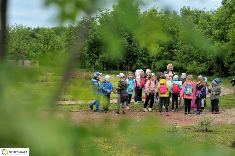 Madarak és Fák Napja 2017 - fotó Szarka Lajos