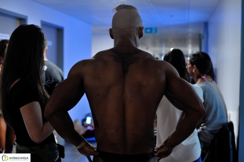 Amazonok és gladiátorok Nyíregyházán II - fotó Szarka Lajos