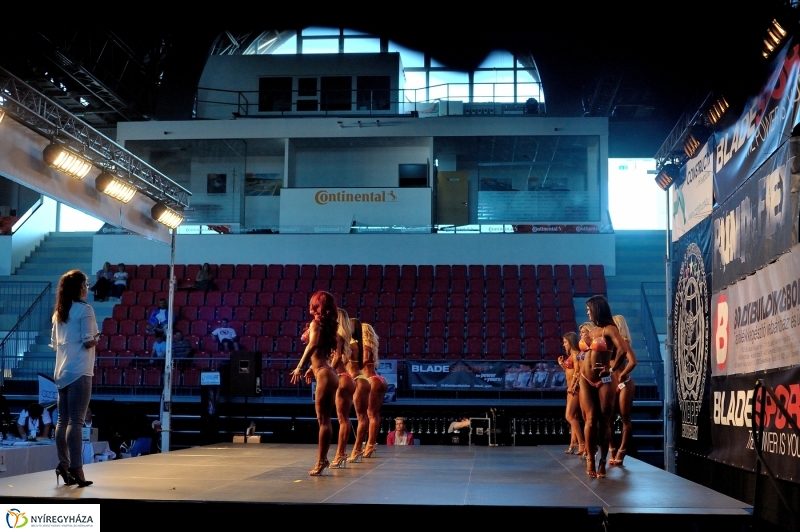 Amazonok és gladiátorok Nyíregyházán II - fotó Szarka Lajos