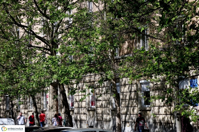 Hétfő délután a belvárosban - fotó Szarka Lajos