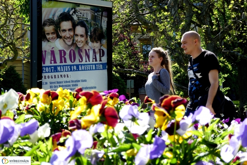 Hétfő délután a belvárosban - fotó Szarka Lajos