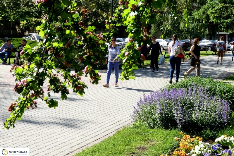 Hétfő délután a belvárosban - fotó Szarka Lajos