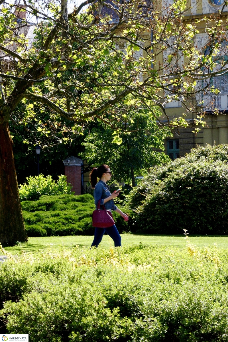 Hétfő délután a belvárosban - fotó Szarka Lajos