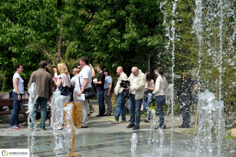 Ovisok és lengyel riporterek az Állatparkban - fotó Szarka Lajos