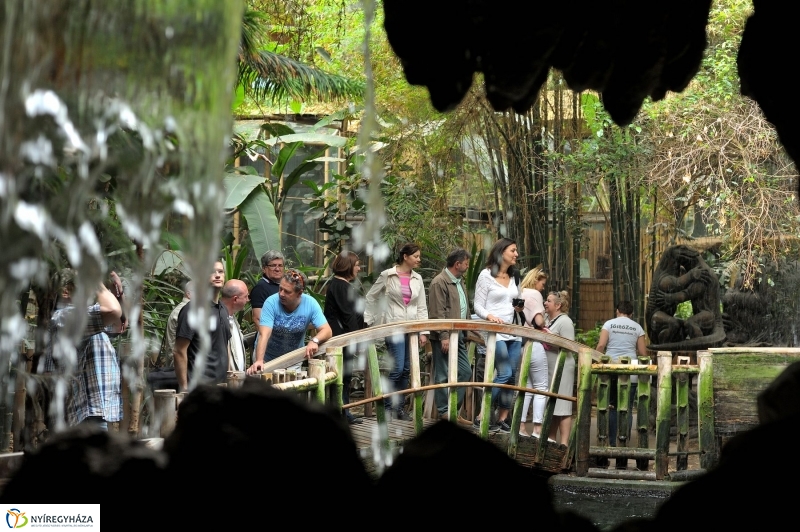 Ovisok és lengyel riporterek az Állatparkban - fotó Szarka Lajos