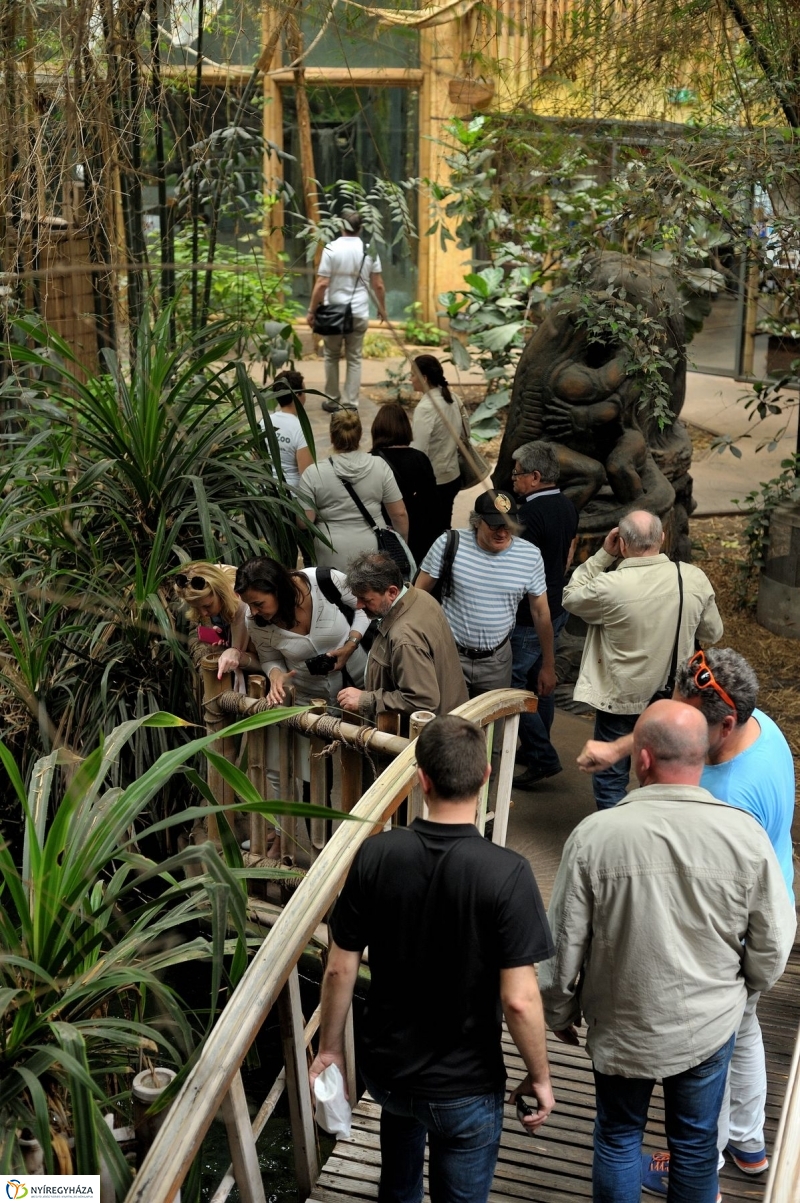 Ovisok és lengyel riporterek az Állatparkban - fotó Szarka Lajos