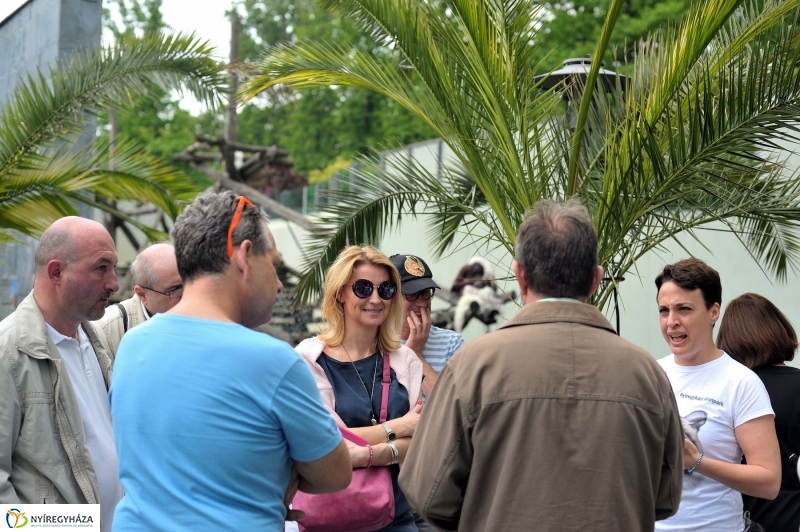 Ovisok és lengyel riporterek az Állatparkban - fotó Szarka Lajos