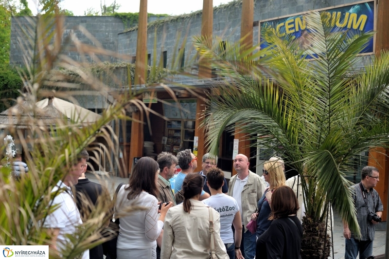 Ovisok és lengyel riporterek az Állatparkban - fotó Szarka Lajos