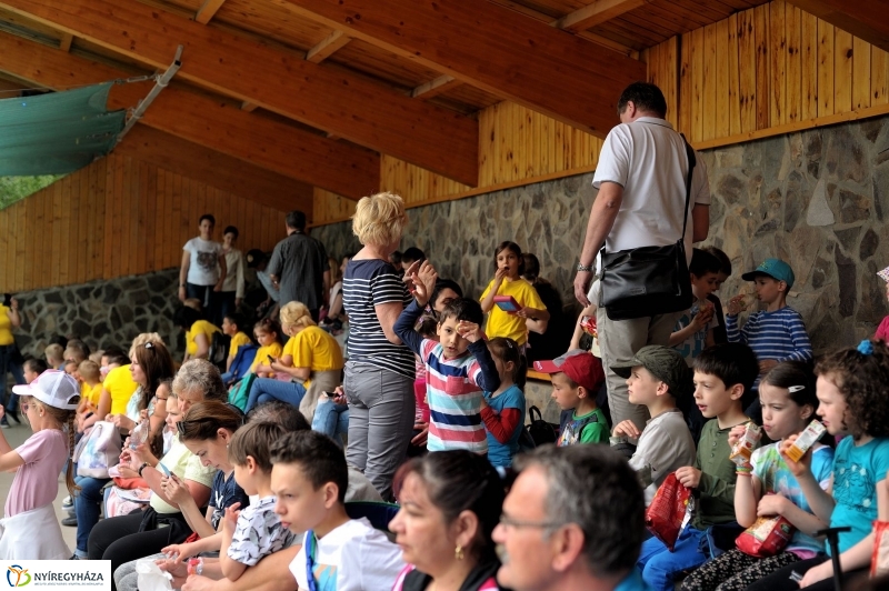 Ovisok és lengyel riporterek az Állatparkban - fotó Szarka Lajos