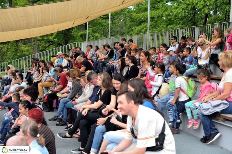 Ovisok és lengyel riporterek az Állatparkban - fotó Szarka Lajos