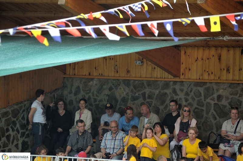 Ovisok és lengyel riporterek az Állatparkban - fotó Szarka Lajos