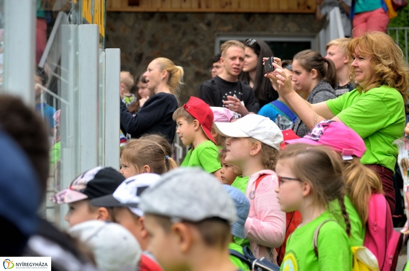 Ovisok és lengyel riporterek az Állatparkban - fotó Szarka Lajos