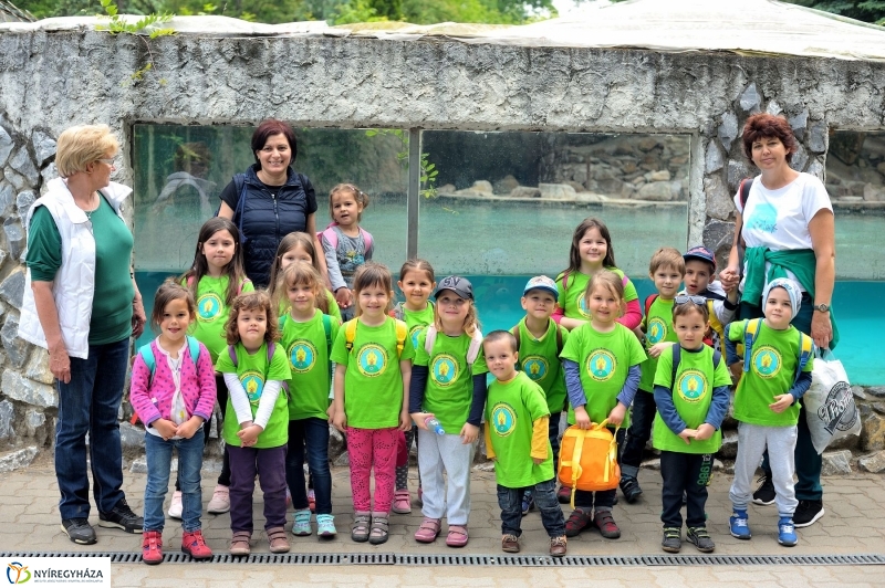 Ovisok és lengyel riporterek az Állatparkban - fotó Szarka Lajos