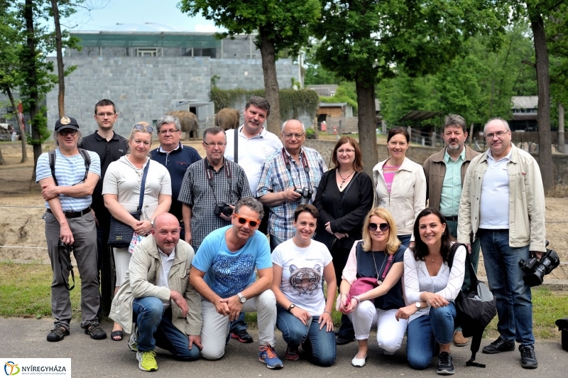 Ovisok és lengyel riporterek az Állatparkban - fotó Szarka Lajos