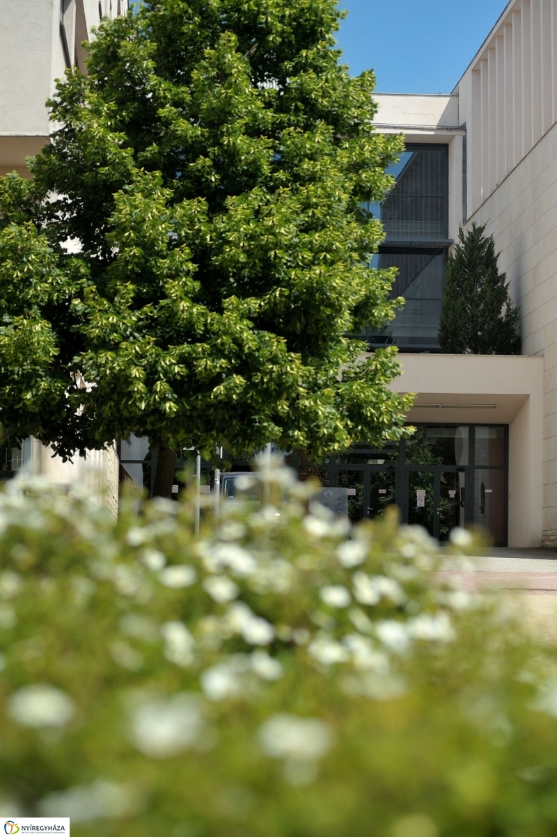 Jubileumi könyvbemutató az egyetemen - fotó Szarka Lajos