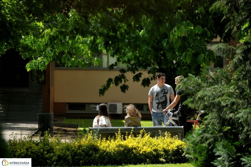 Jubileumi könyvbemutató az egyetemen - fotó Szarka Lajos